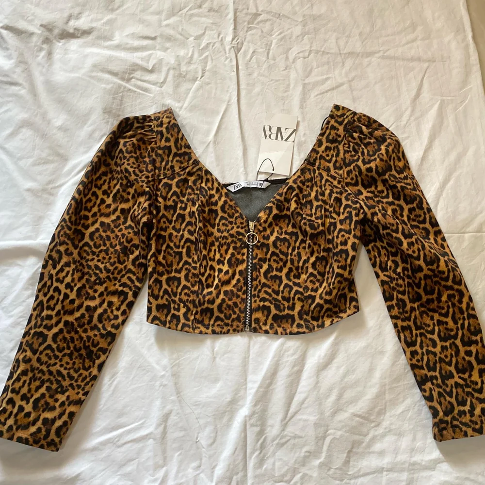 Zara Crop Tops