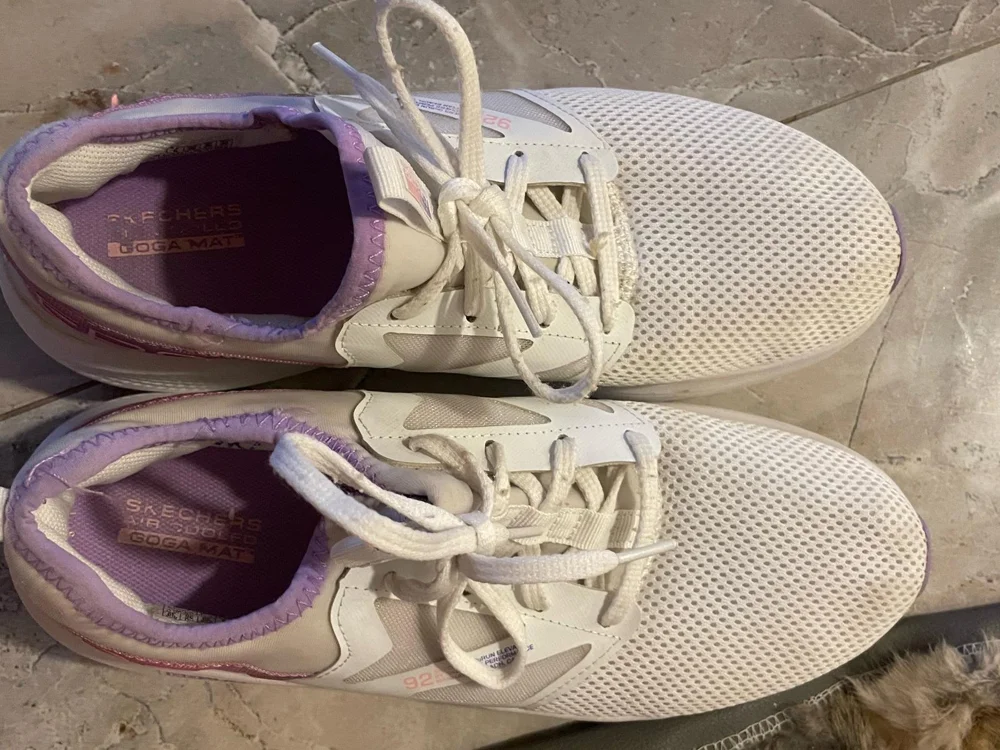 Sketchers Sneakers