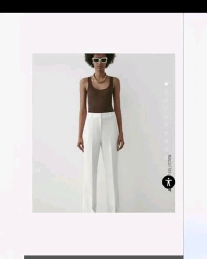 Zara Pants