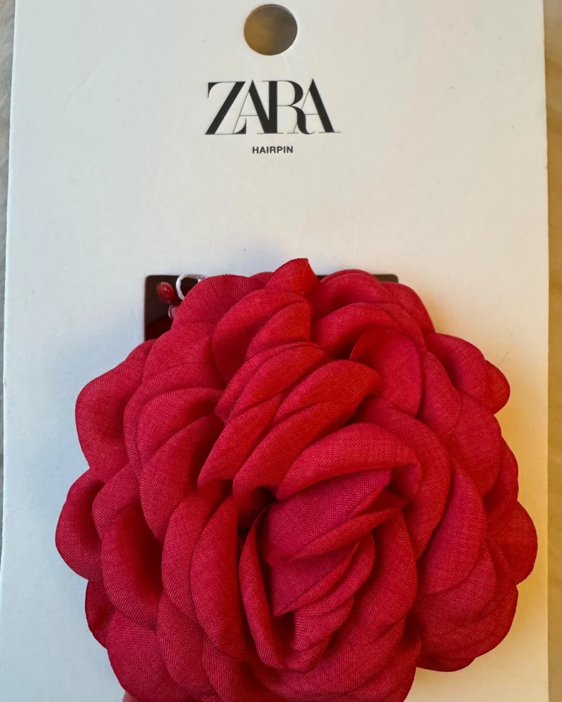 Zara Hair Accessories
