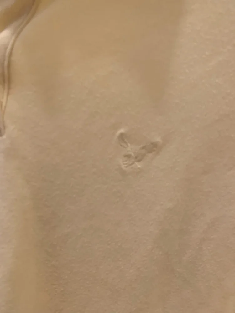 American Eagle T-shirts, size M / 38 / 10, photo 3