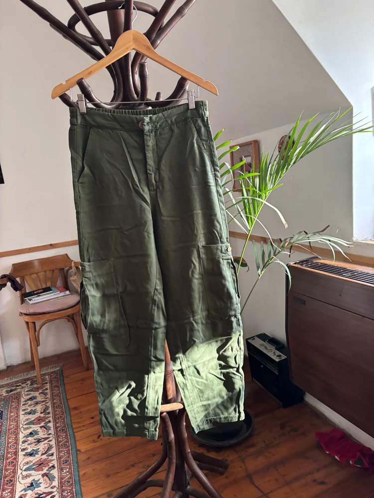 Zara Pants