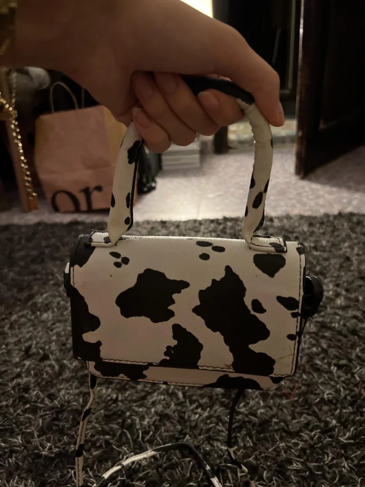Shein Mini Bag