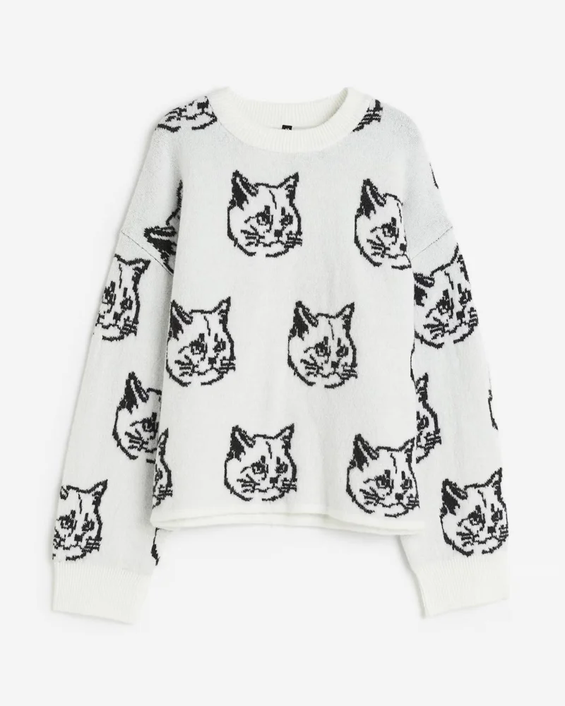 H&M Sweaters & Pullovers