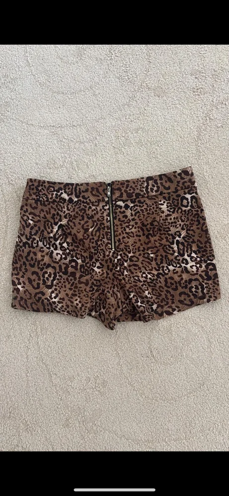 Zara Skorts