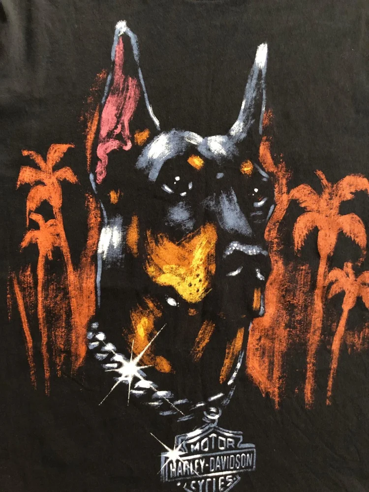 Harley Davidson T-shirts, size M, photo 2