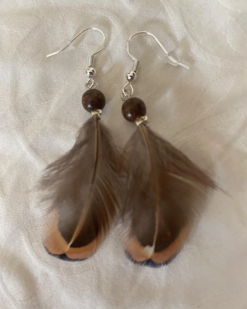 Earrings