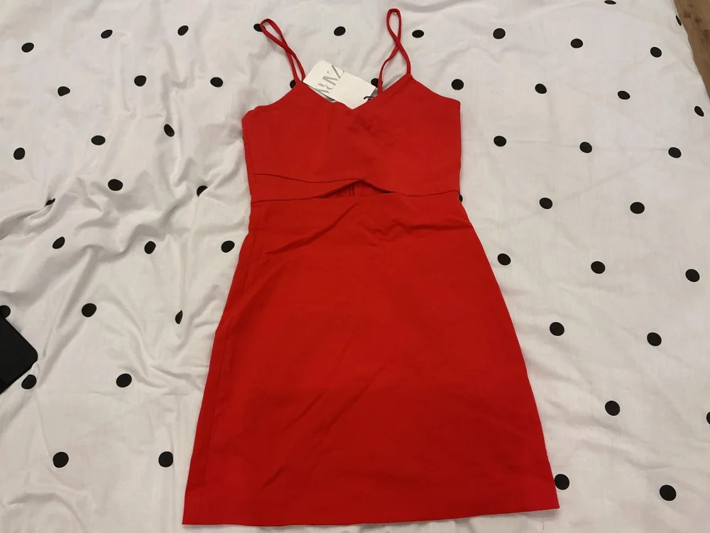 Zara Mini Dresses