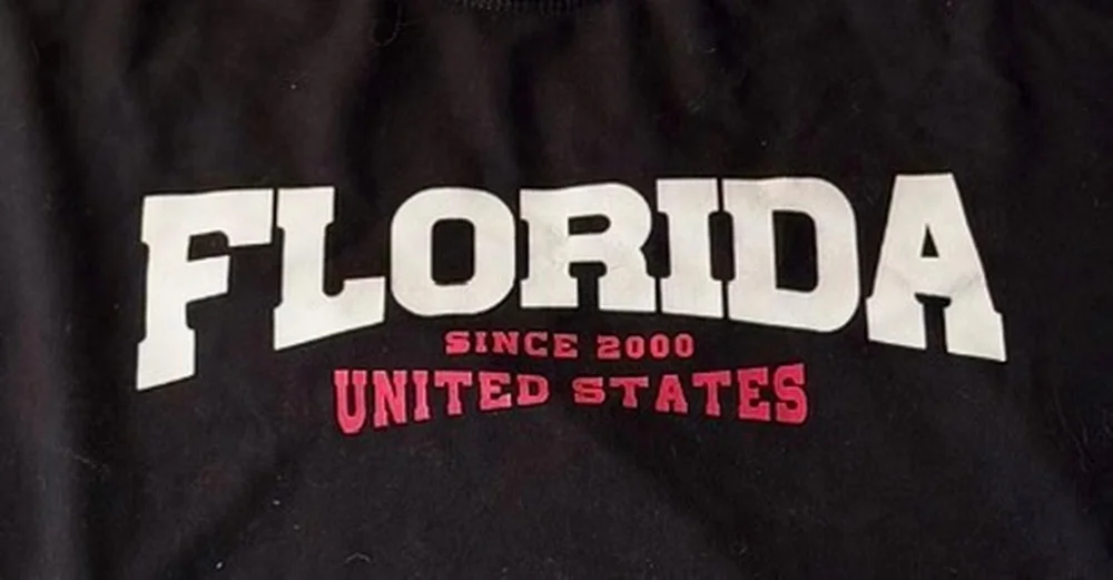 Sweatshirts, size XL / 42 / 14, photo 3
