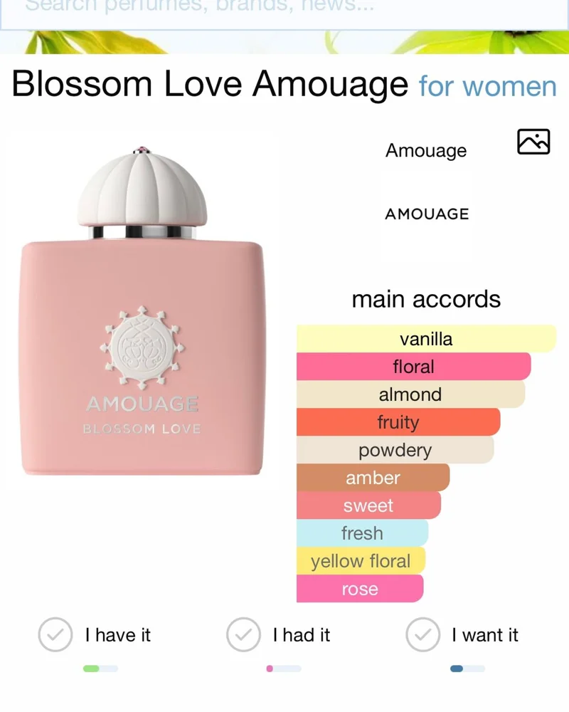 Amouage Perfume, size No Size, photo 4