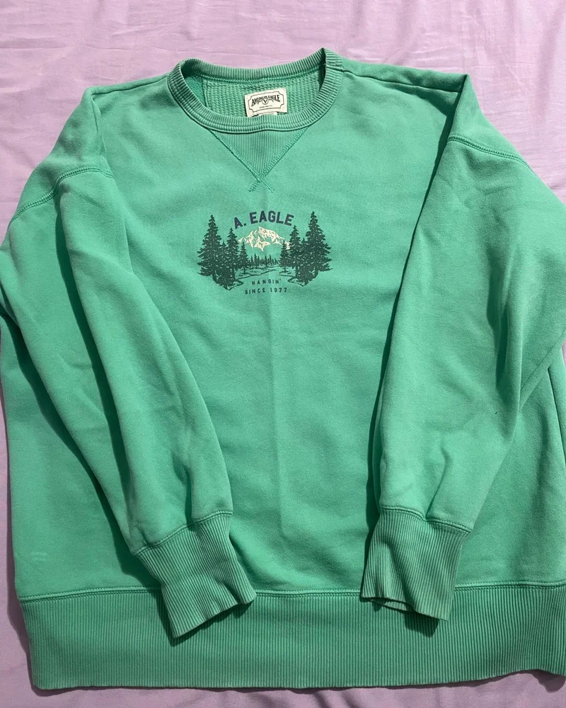 American Eagle Sweatshirts, size XS / 34 / 6, photo 2