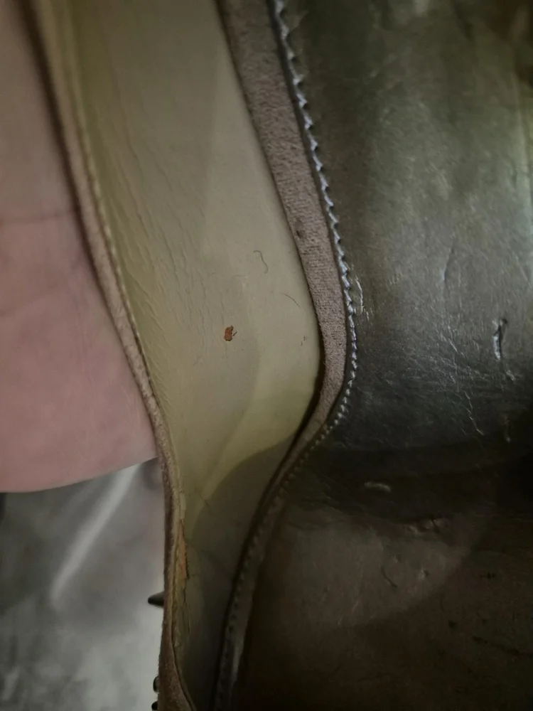 Heels, size 39.5, photo 6