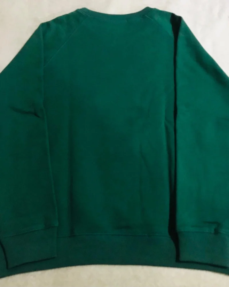 Carhartt Sweatshirts, size L, photo 3
