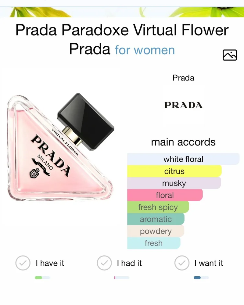 Prada Perfume, size No Size, photo 2