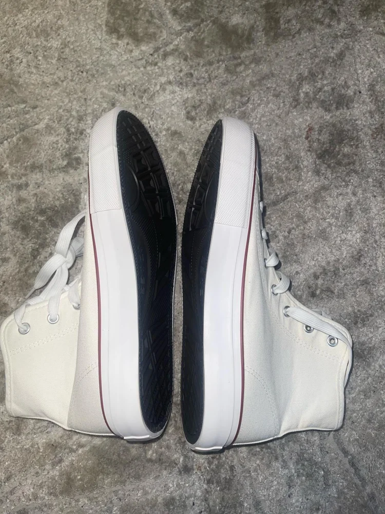 Converse Sneakers