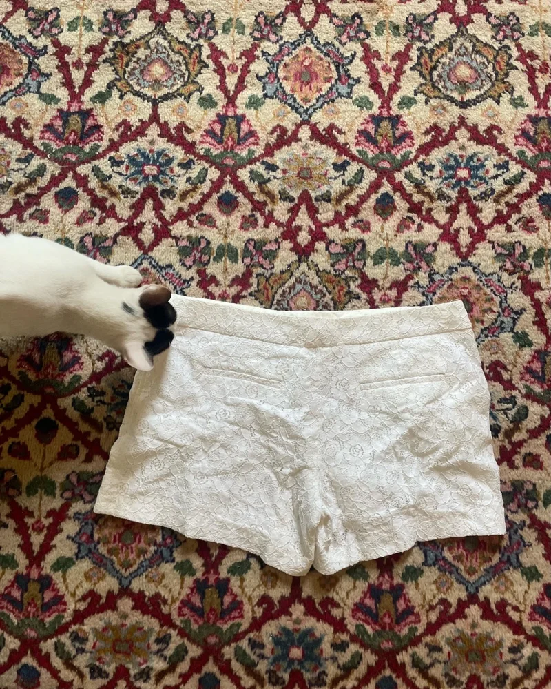 Lila Rose Shorts, size L / 40 / 12, photo 3