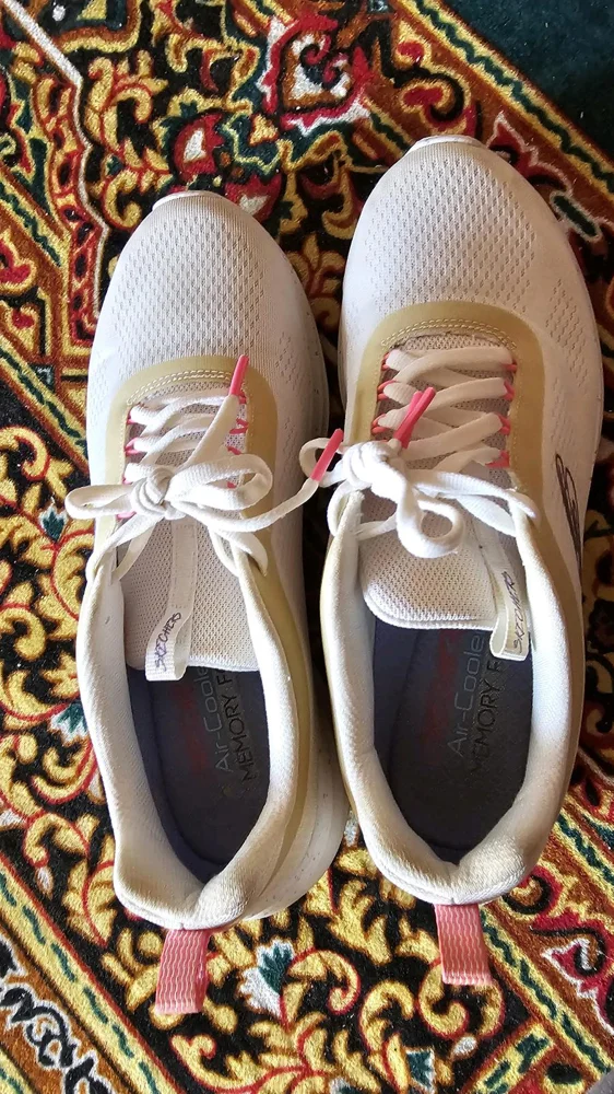 Sketchers Sneakers