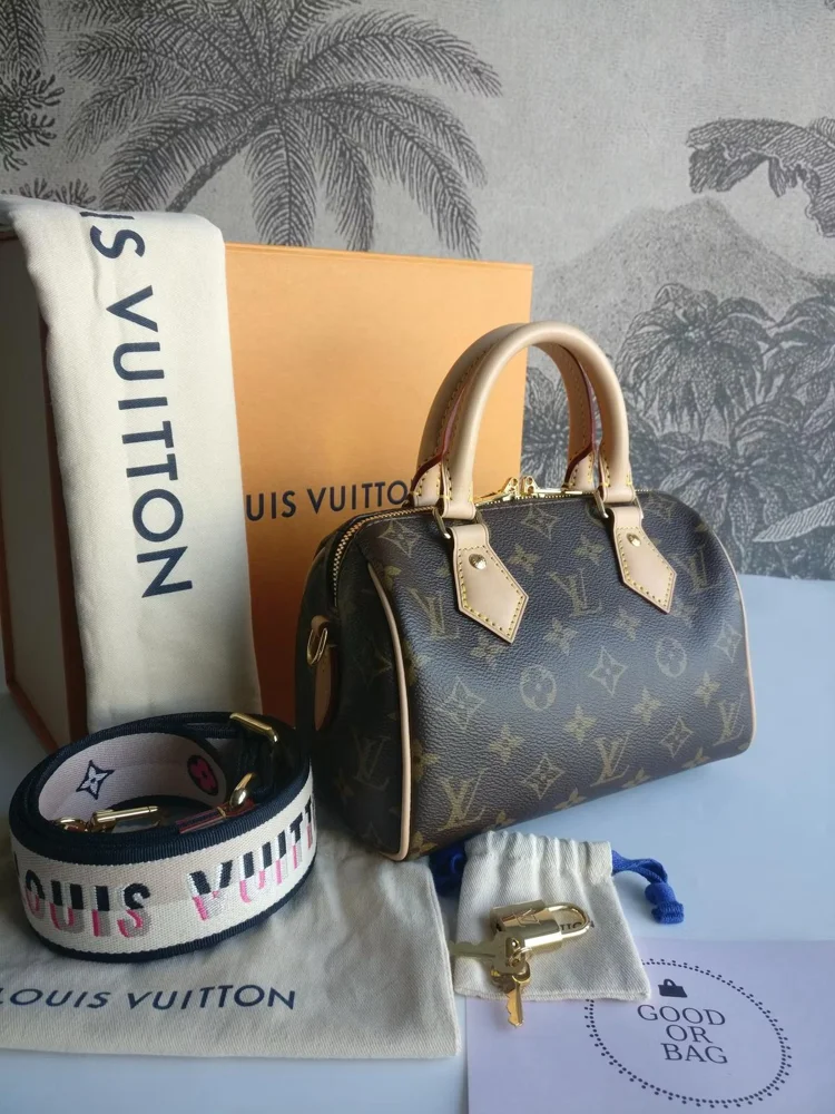 Louis Vuitton Mini Bag