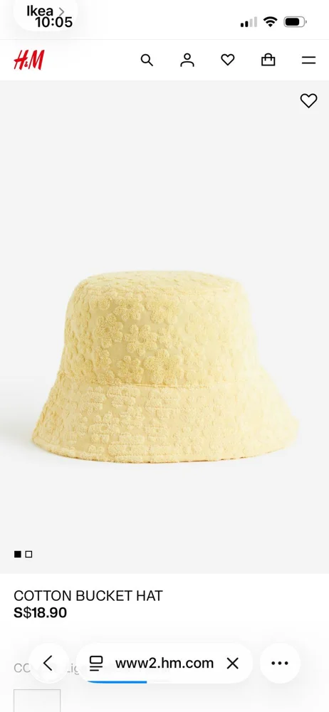 H&M Hats & Caps