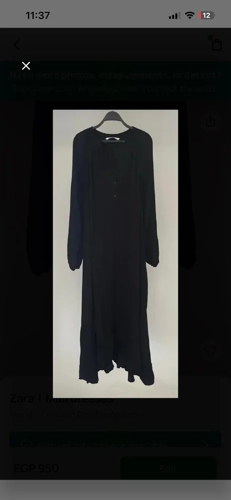 Zara Maxi Dresses