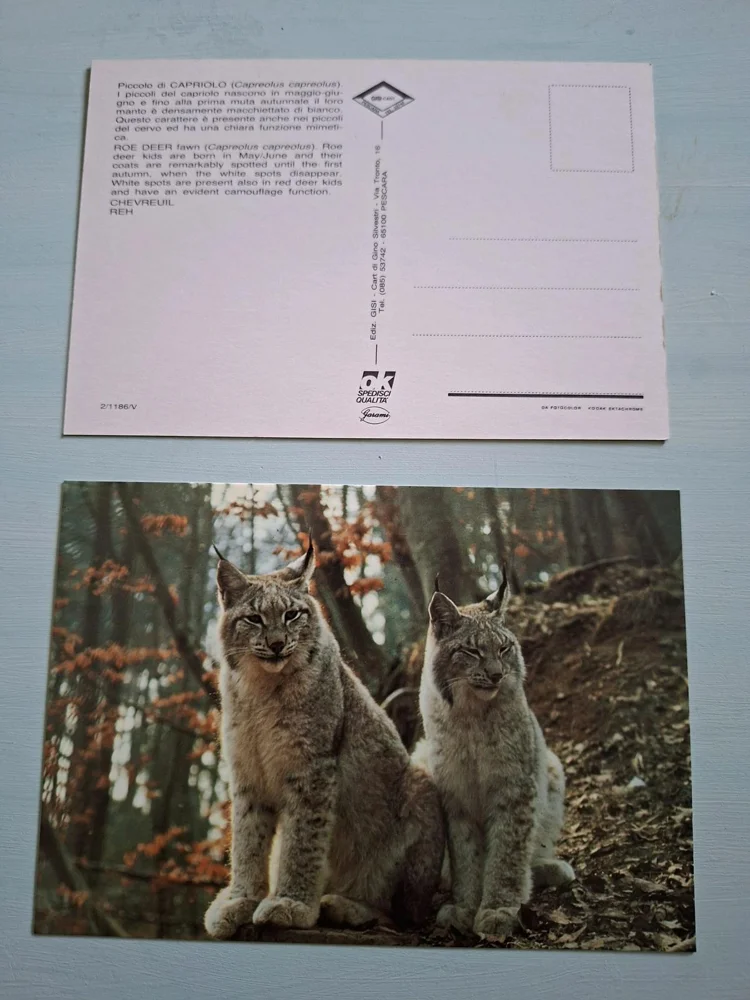 Books, size Other, photo 3