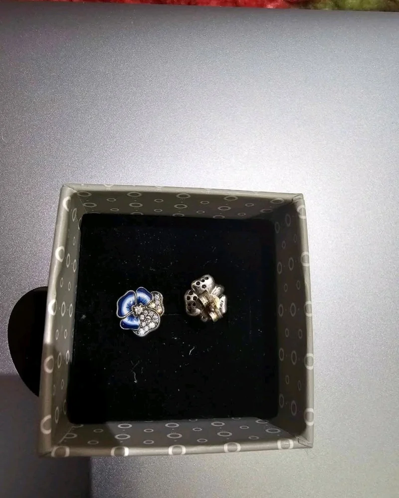 Pandora Earrings, size One size, photo 3