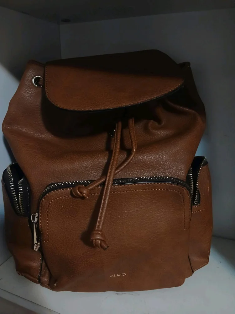 ALDO Backpacks