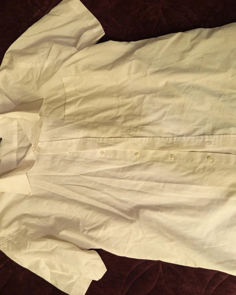 Angelo Litrico Polo Shirts, size L, photo 2