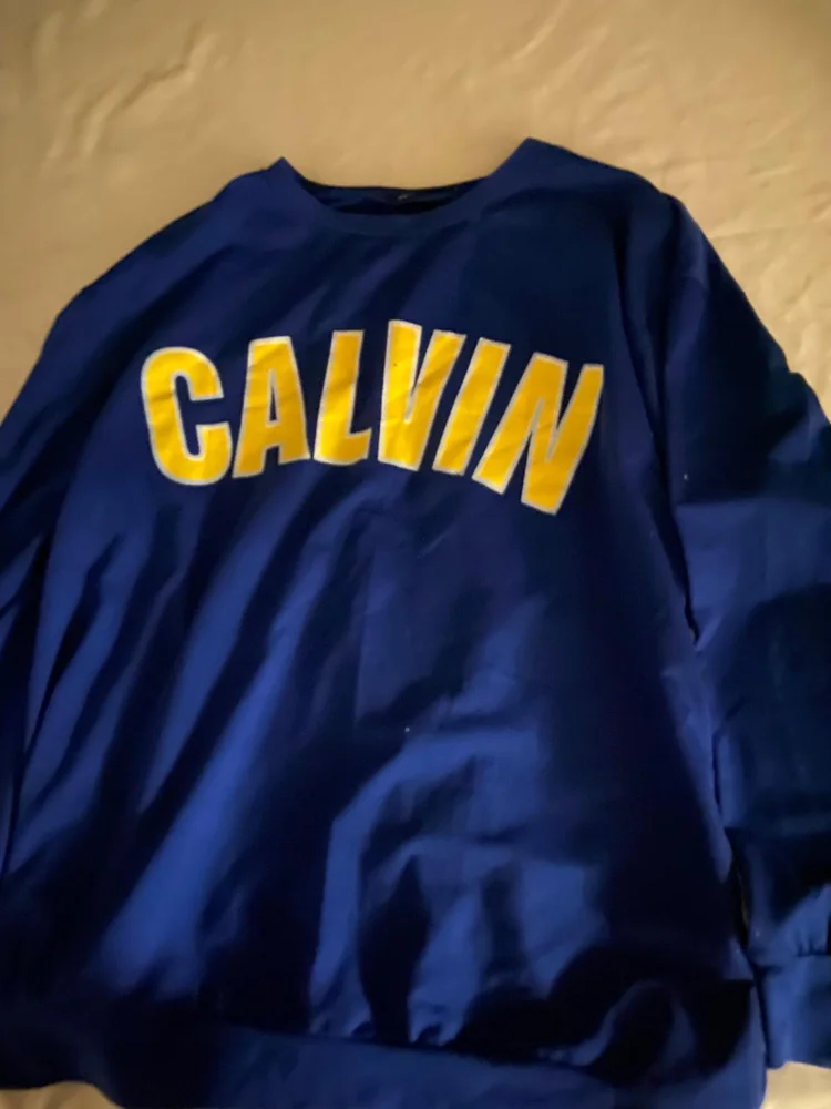 Sweatshirts, size L, photo 2