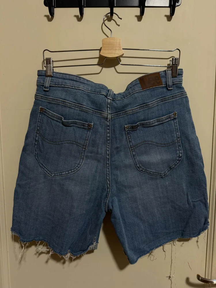 Lee Shorts, size M / 38 / 10, photo 3
