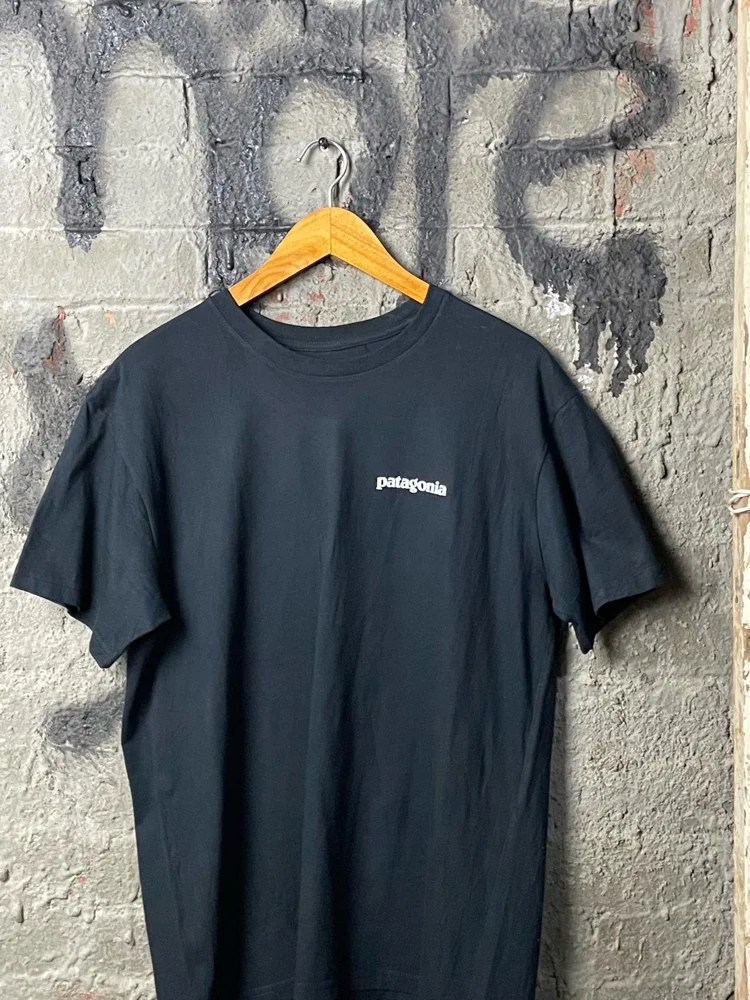 Patagonia T-shirts, size L, photo 2