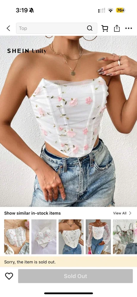 Shein Corsets