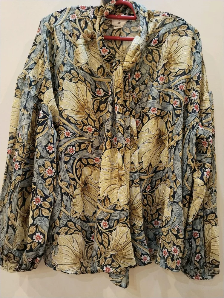 H&M Blouses