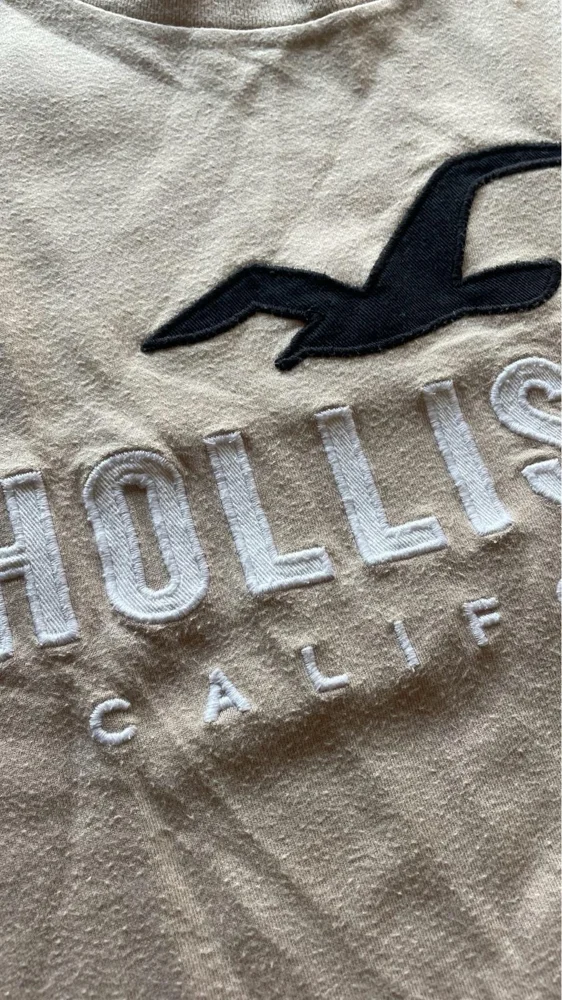 Hollister T-shirts, size L, photo 3