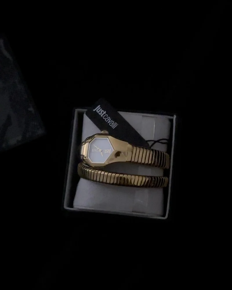 Just Cavalli Watches, size One size, photo 6