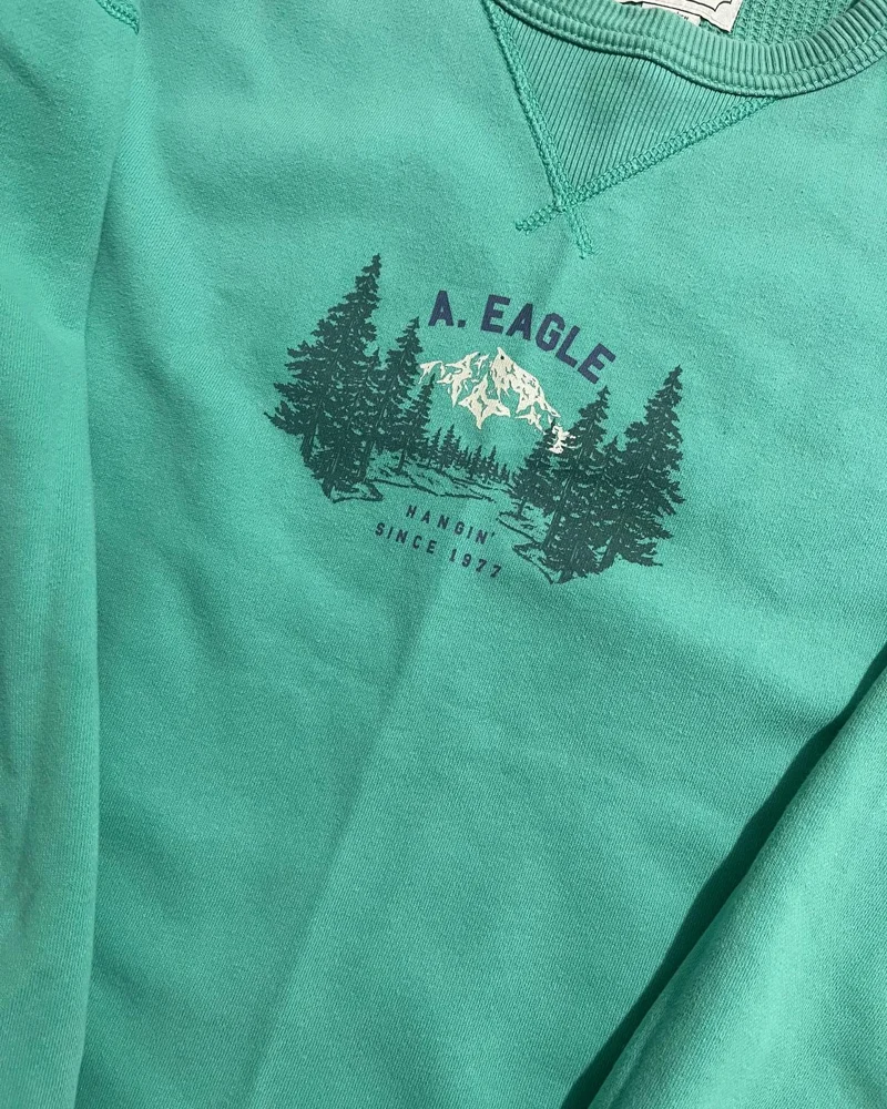 American Eagle Sweatshirts, size XS / 34 / 6, photo 3