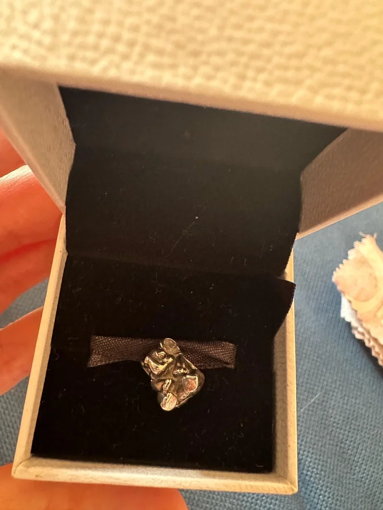 Pandora Bracelets, size One size, photo 2