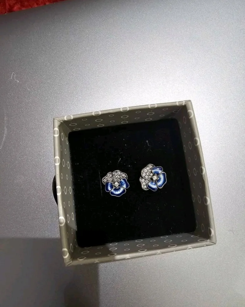 Pandora Earrings, size One size, photo 2