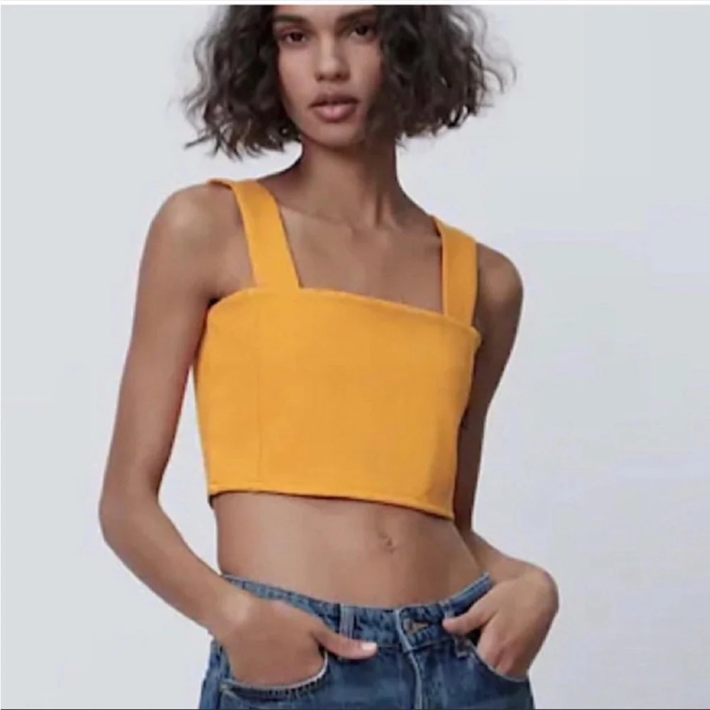 Zara Crop Tops