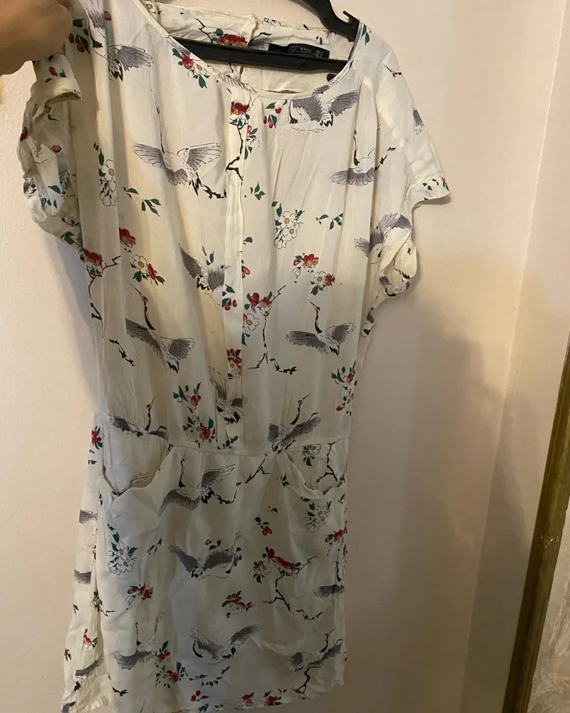 Zara Mini Dresses