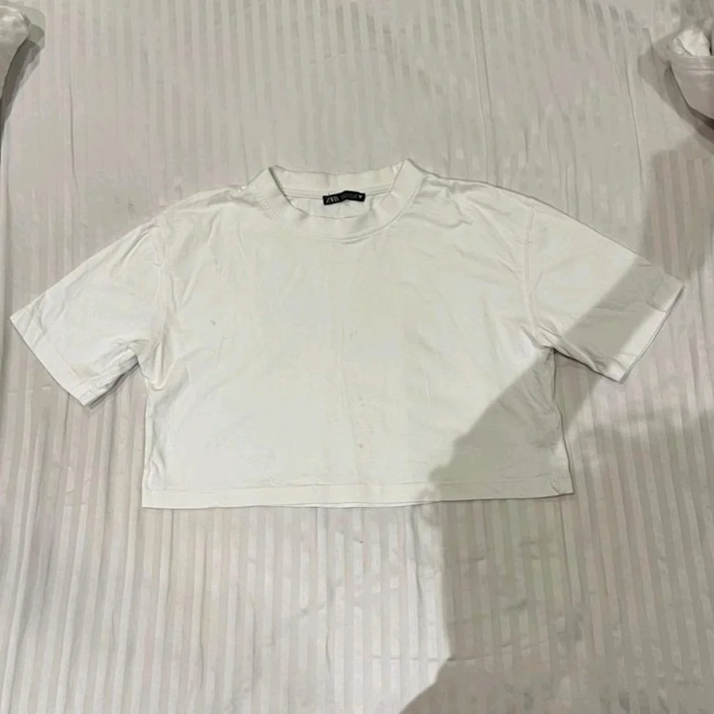 Zara Crop Tops