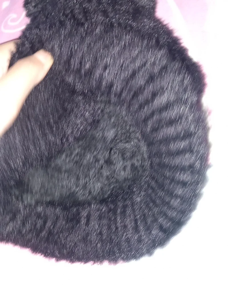Hats & Caps, size One size, photo 3