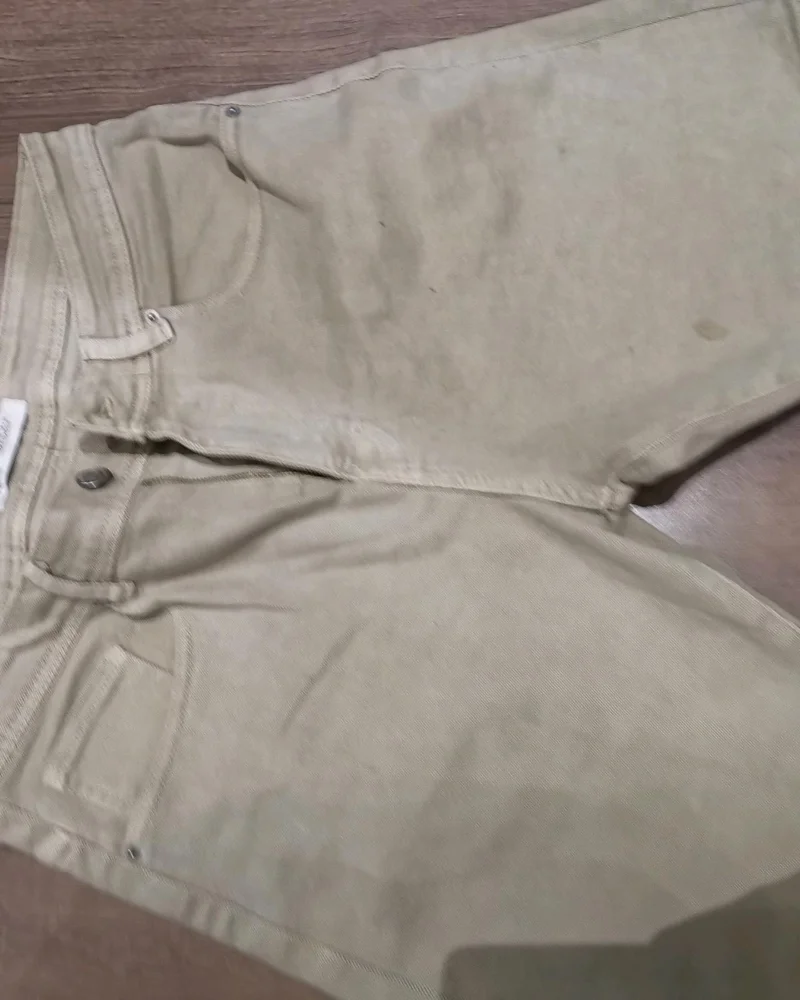 Zara Shorts