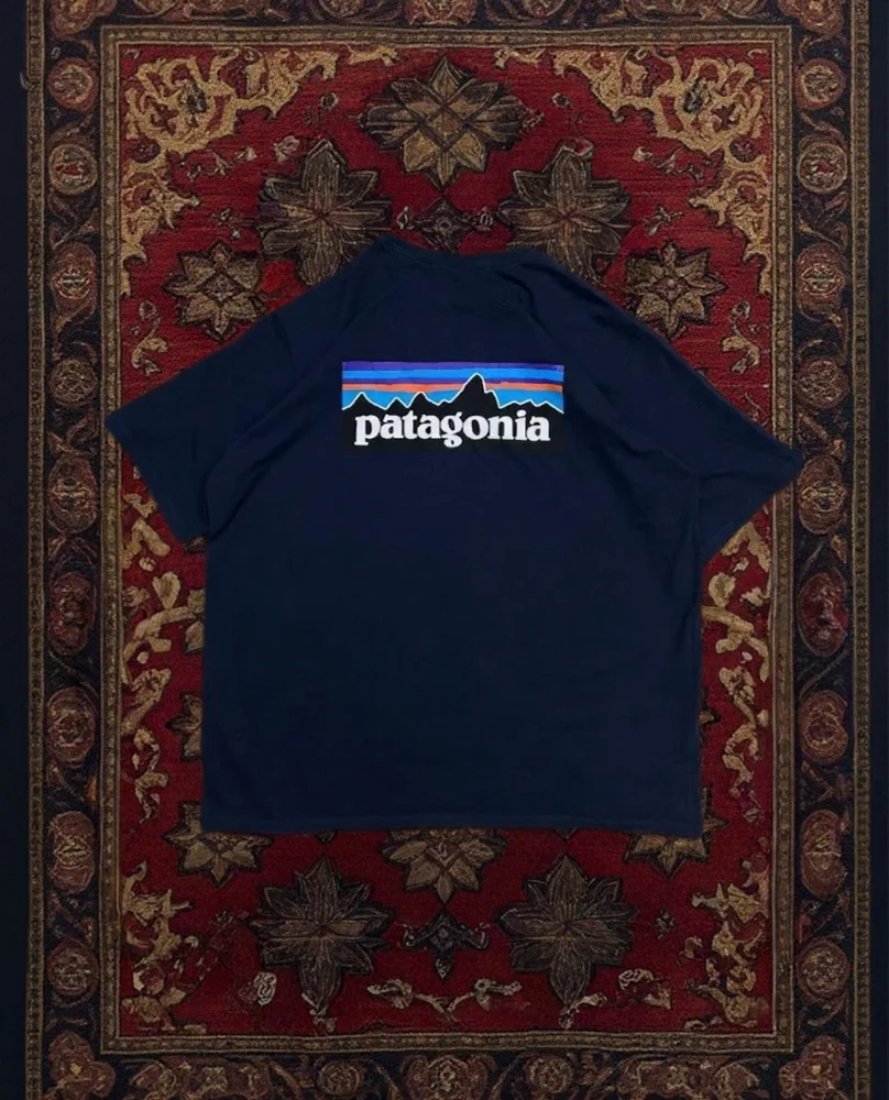 Patagonia T-shirts, size XL, photo 2
