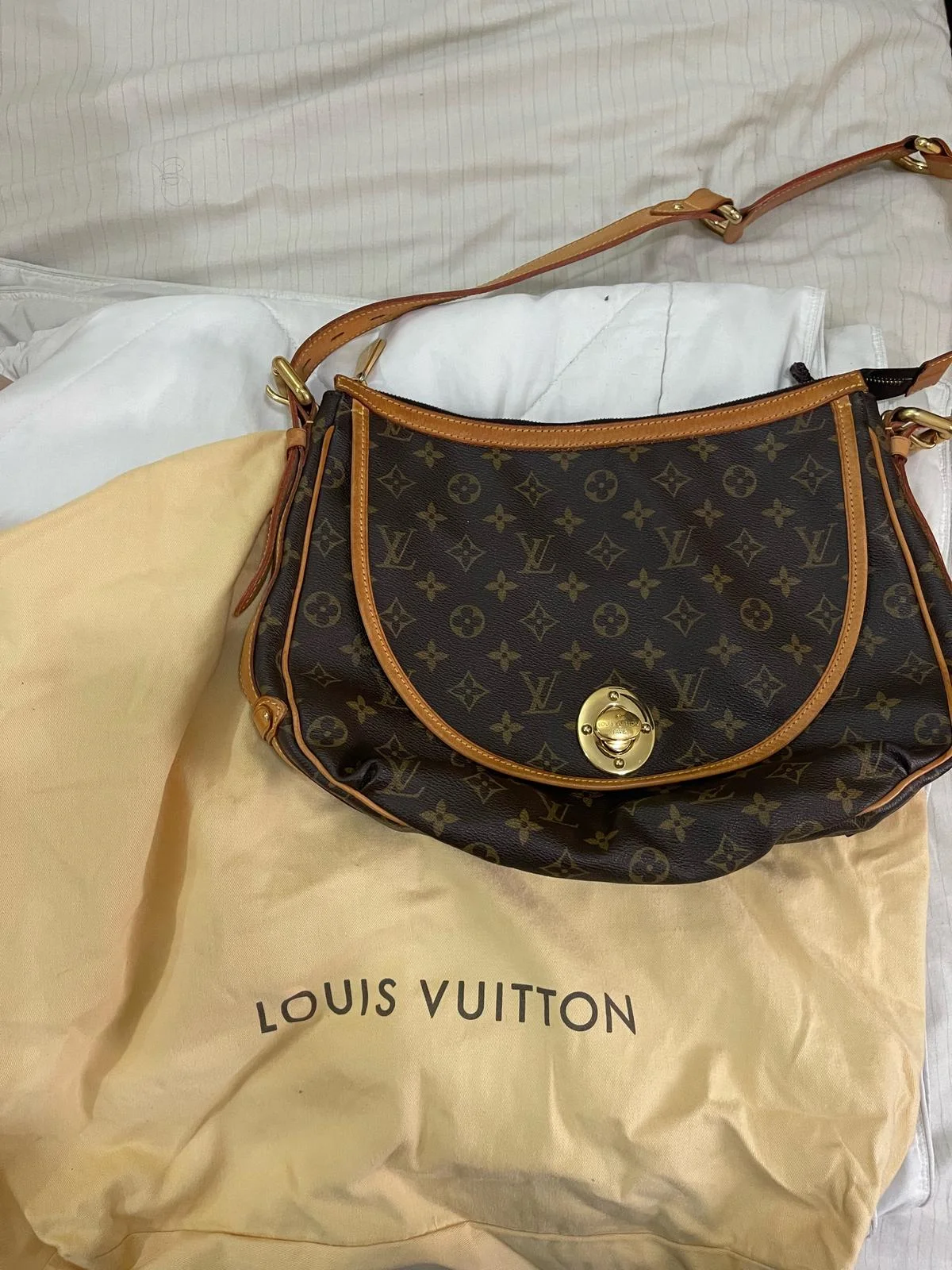 Louis Vuitton Shoulder Bag, size Other, photo 1