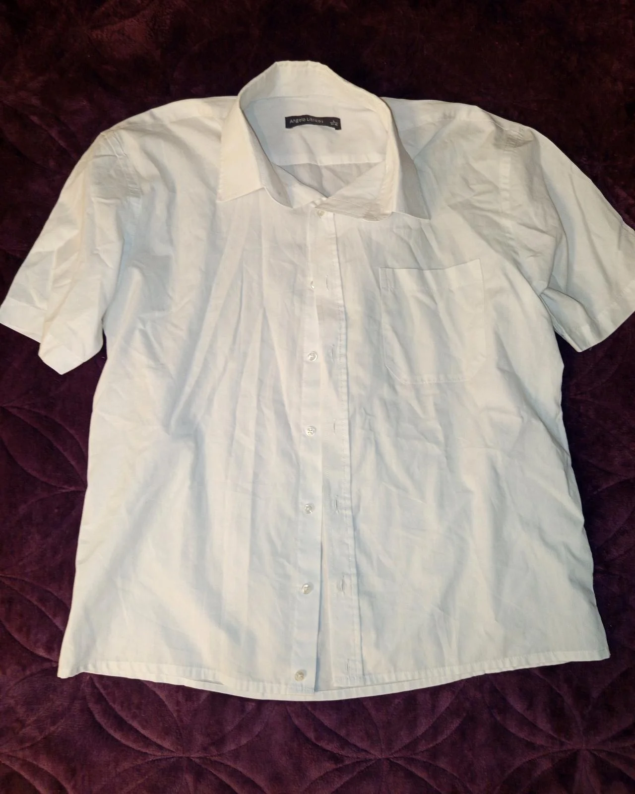 Angelo Litrico Polo Shirts, size L, photo 1