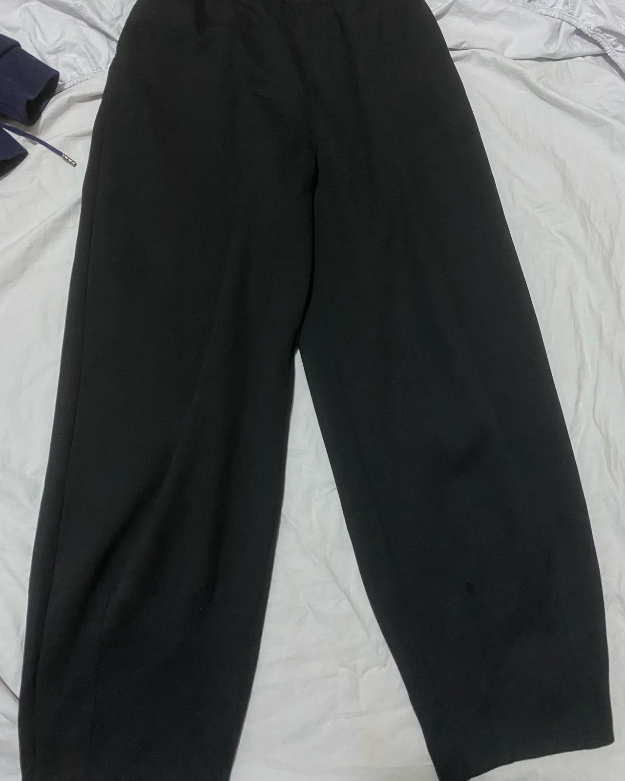 Zara Pants, size M / 38 / 10, photo 1