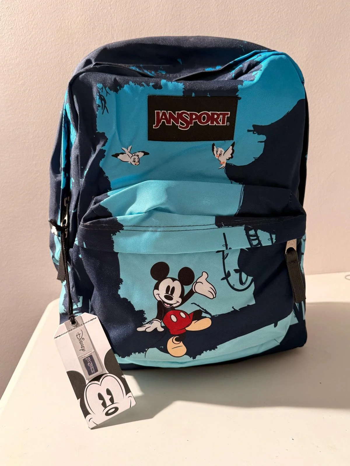 JanSport Backpacks, size Other, photo 1