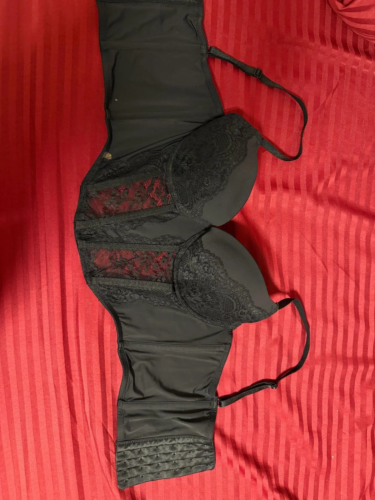Terranova Bras, size L / 40 / 12, photo 1