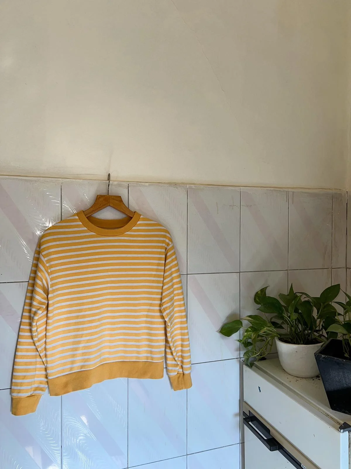 Lefties Sweatshirts, size S / 36 / 8, photo 1